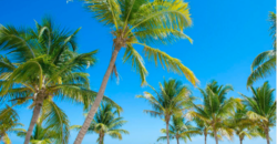 Cassa Juanillo, Punta Cana