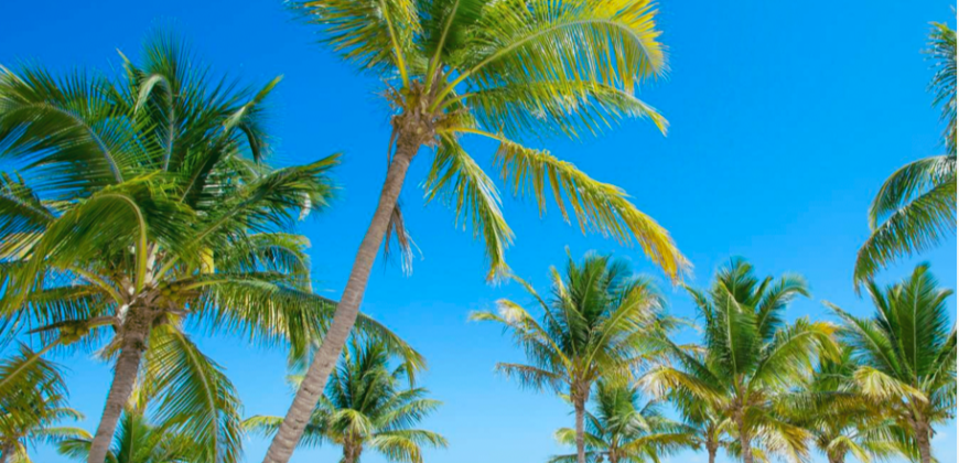 Cassa Juanillo, Punta Cana